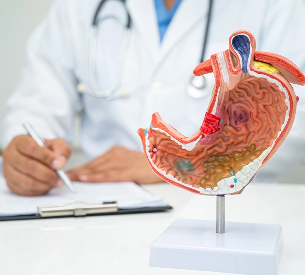 General Medicine Doctors