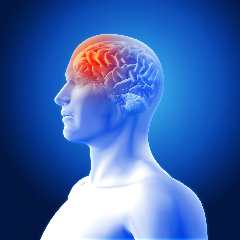 Neurology Treatment Support Services